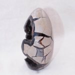 Rare Black Septarian Freeform Crystal - Image 6