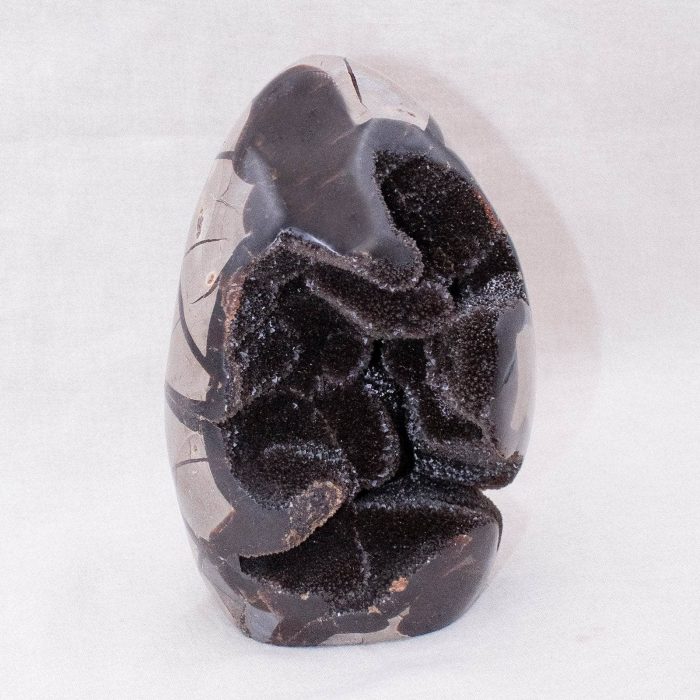 Rare Black Septarian Freeform Crystal - Image 5