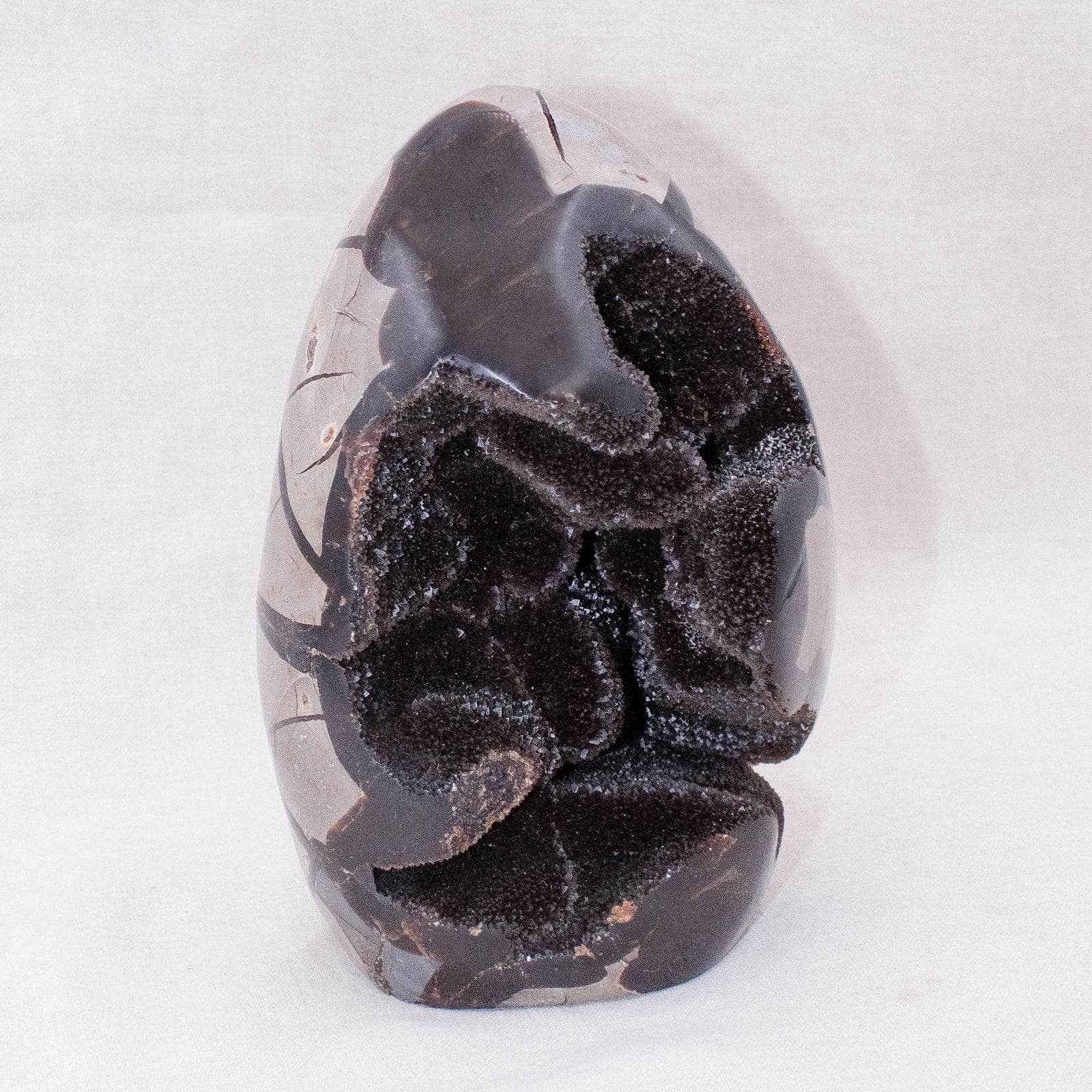 TR-FF-Sept-MI-2-3_1c480903-173c-495a-a317-34e906c029d4 Rare Black Septarian Freeform Crystal - Image 5