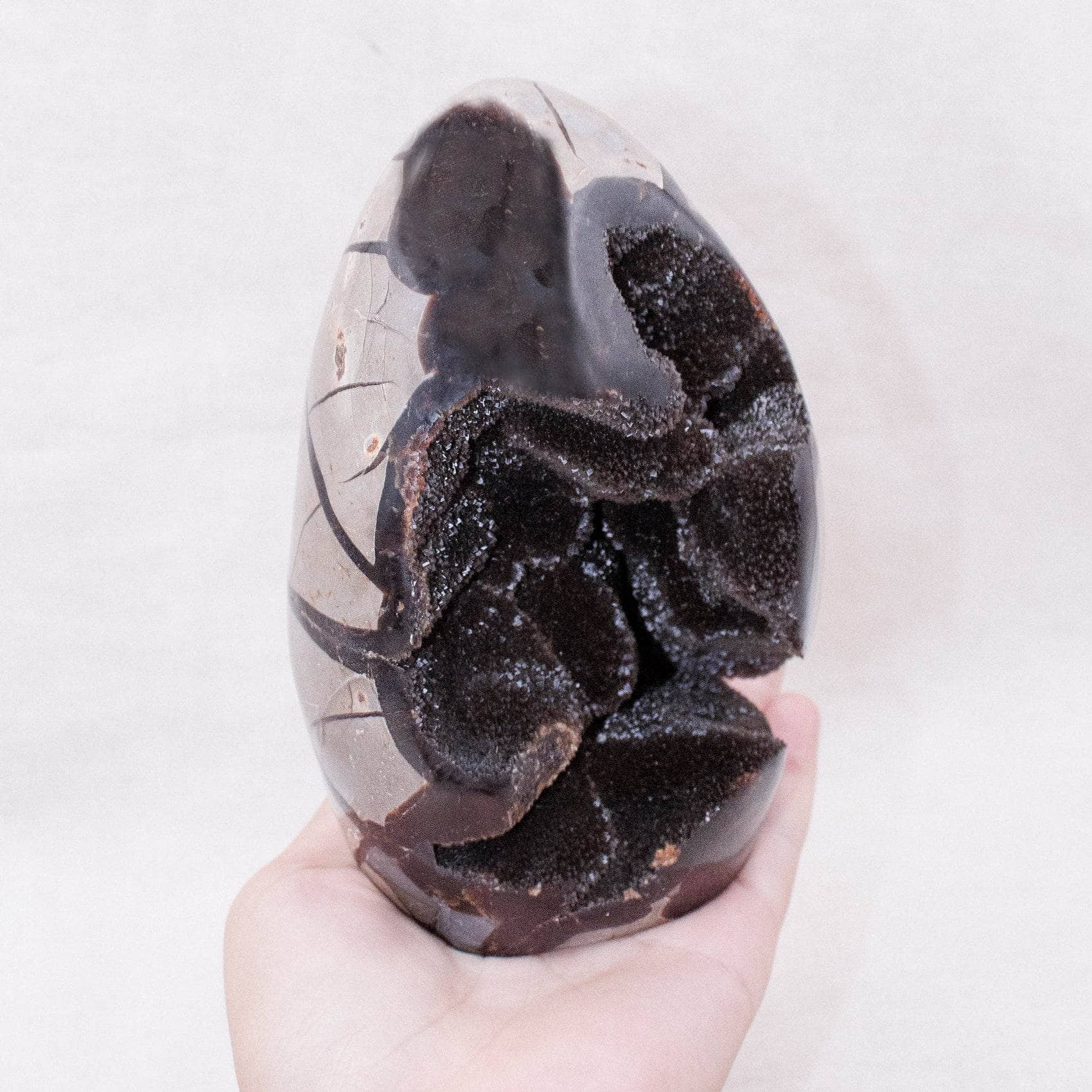 TR-FF-Sept-MI-2-4_5a7dd474-75e3-4fc3-9f9d-3a24c09f9884 Rare Black Septarian Freeform Crystal - Image 7