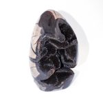 Rare Black Septarian Freeform Crystal - Image 8