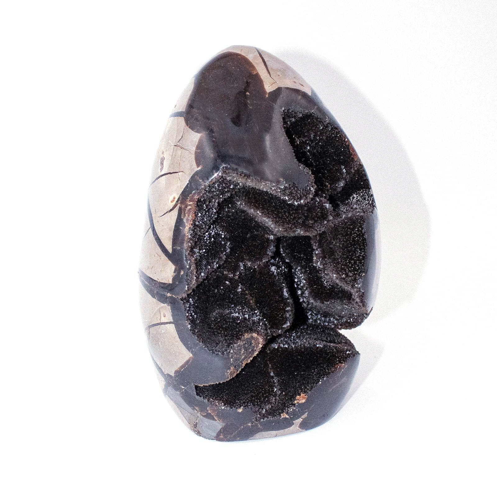 TR-FF-Sept-MI-2_dfe7610c-100c-4fc2-af19-20188de1fe6f Rare Black Septarian Freeform Crystal - Image 8