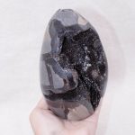 Rare Black Septarian Freeform Crystal - Image 11