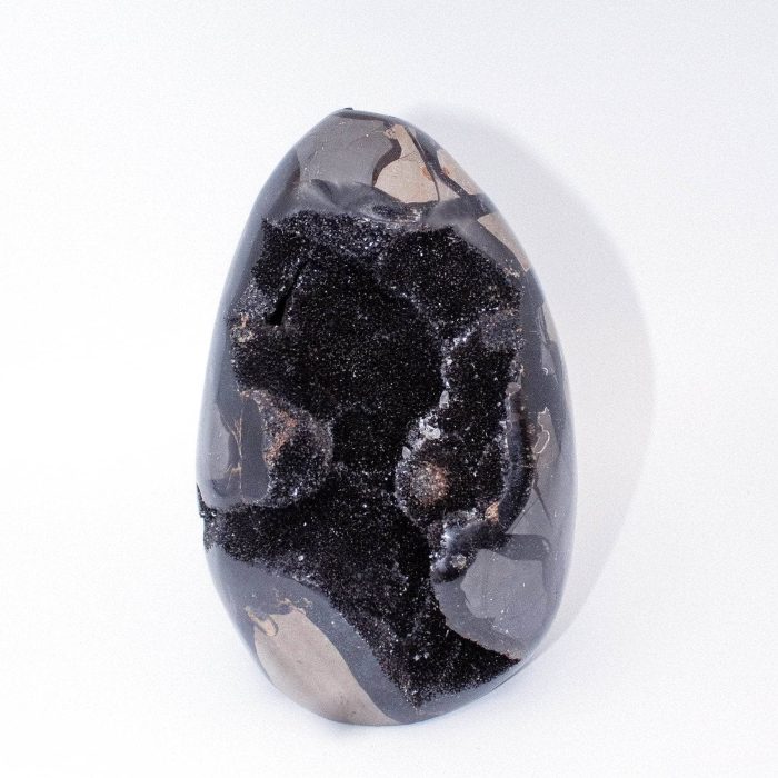 Rare Black Septarian Freeform Crystal - Image 12