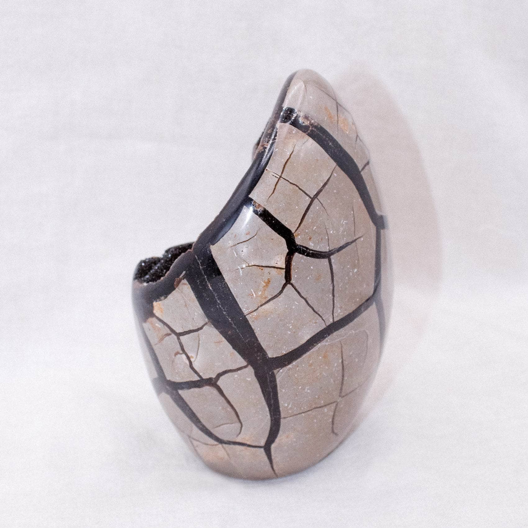 TR-FF-Sept-MI-4-2 Rare Black Septarian Freeform Crystal - Image 14