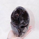 Rare Black Septarian Freeform Crystal - Image 15