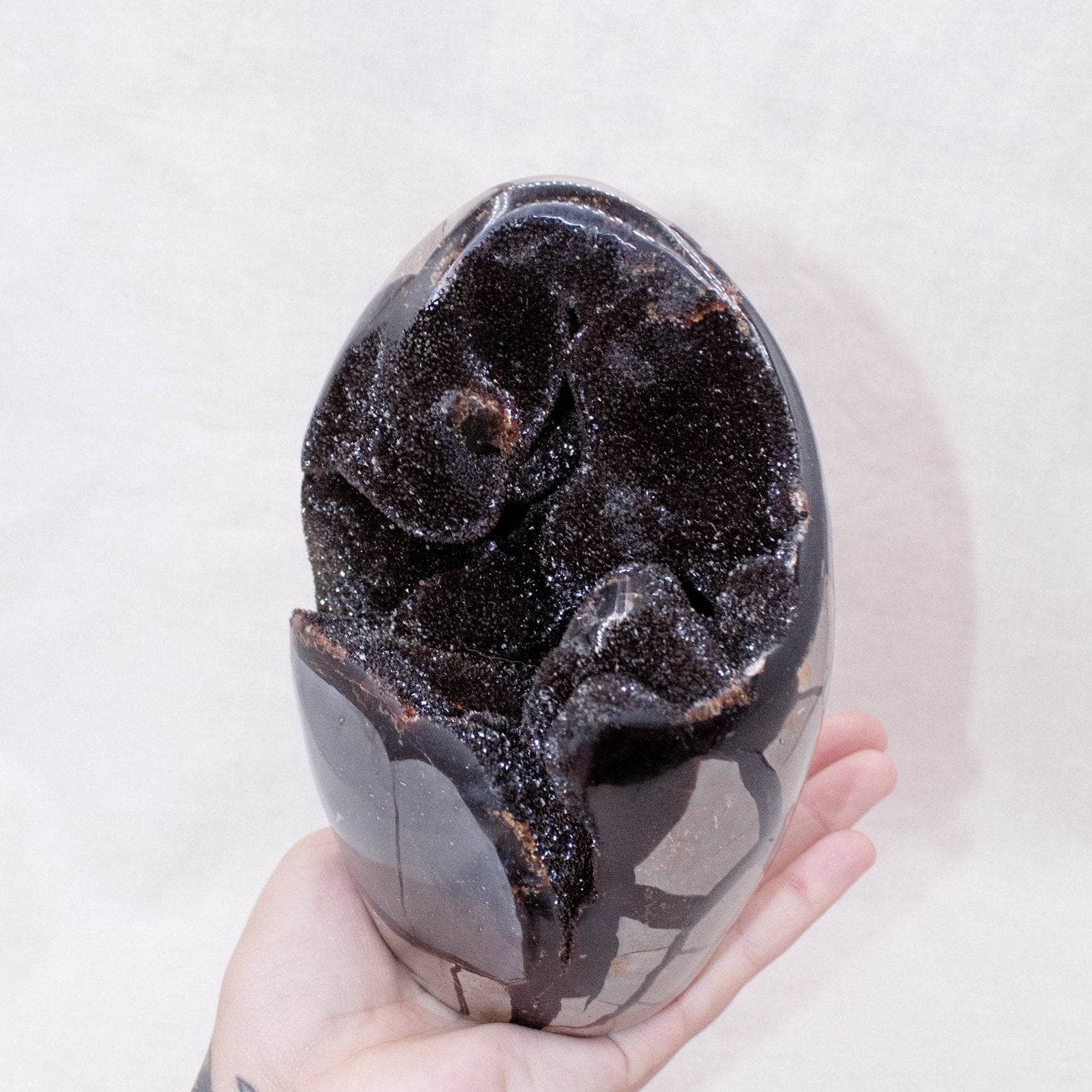TR-FF-Sept-MI-4-3 Rare Black Septarian Freeform Crystal - Image 15