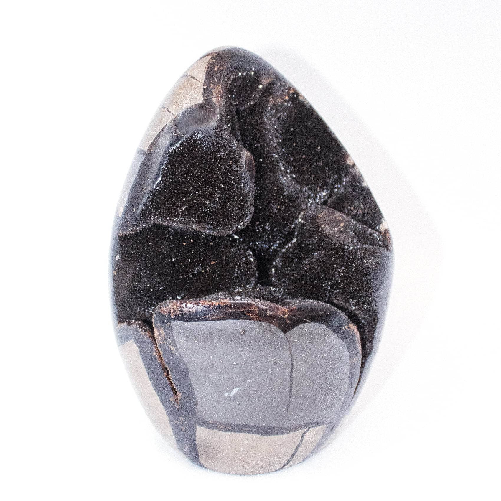 TR-FF-Sept-MI-4 Rare Black Septarian Freeform Crystal - Image 16