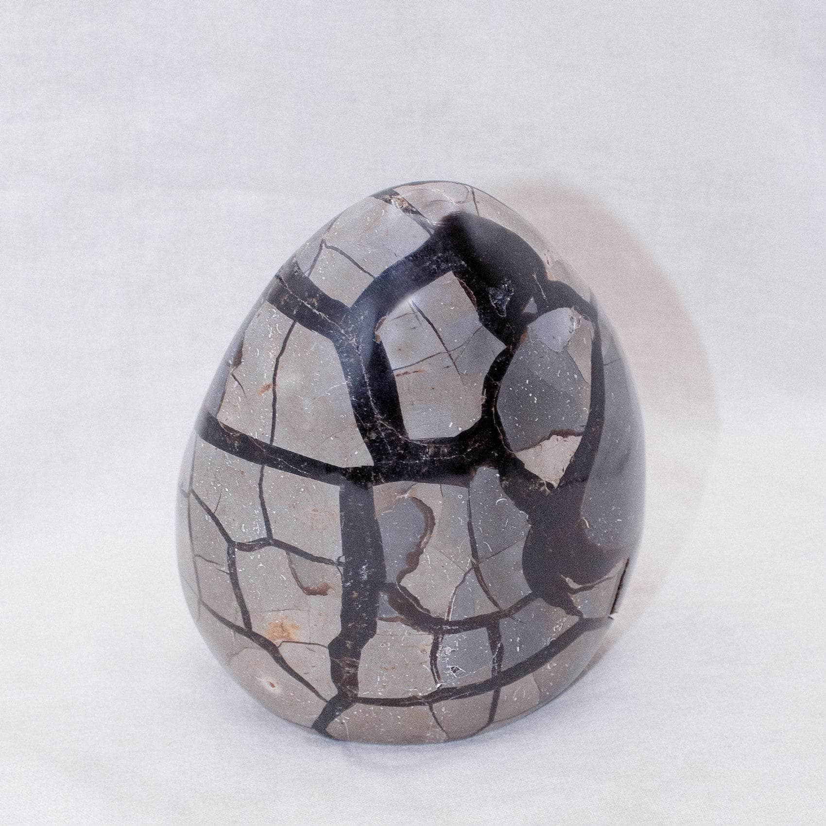TR-FF-Sept-MI-5-2 Rare Black Septarian Freeform Crystal - Image 18