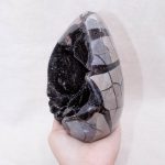 Rare Black Septarian Freeform Crystal - Image 19