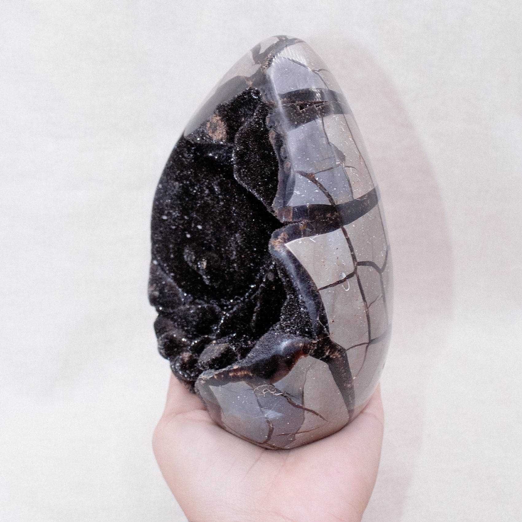 TR-FF-Sept-MI-5-3 Rare Black Septarian Freeform Crystal - Image 19