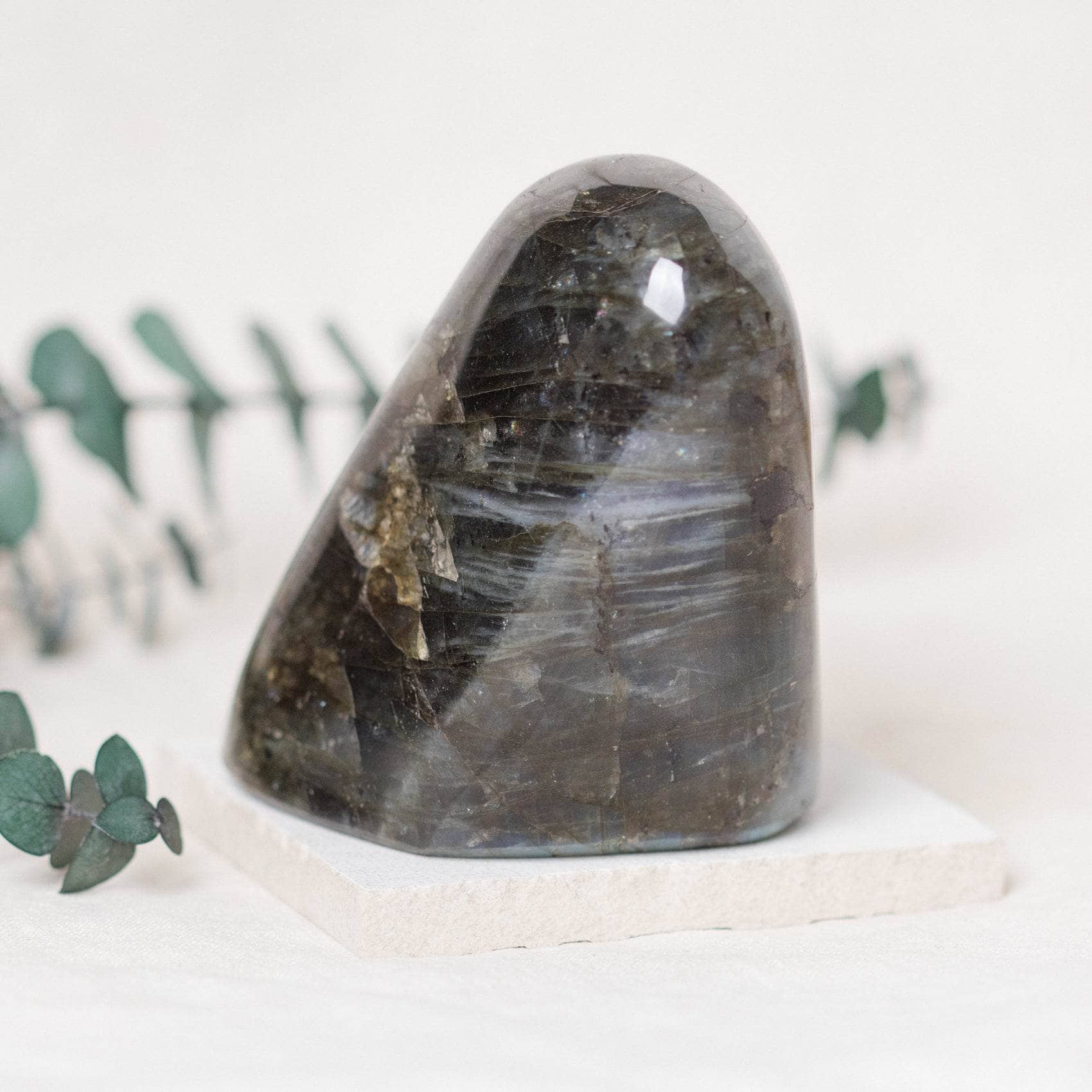 TR-FF1-LAB-MI-4 Labradorite Blue Flame Freeform - AAA Premium Quality - Image 3