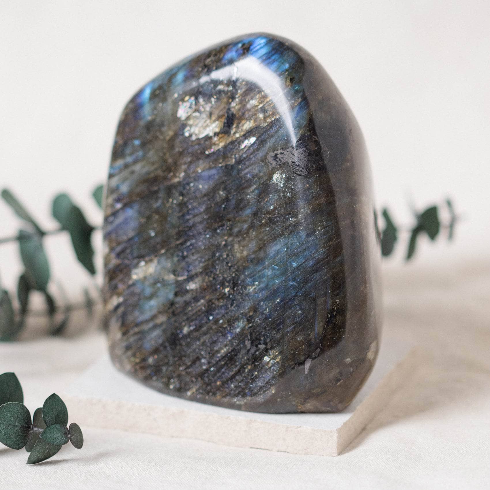 TR-FF10-LAB-MI-1 Labradorite Blue Flame Freeform - AAA Premium Quality - Image 28