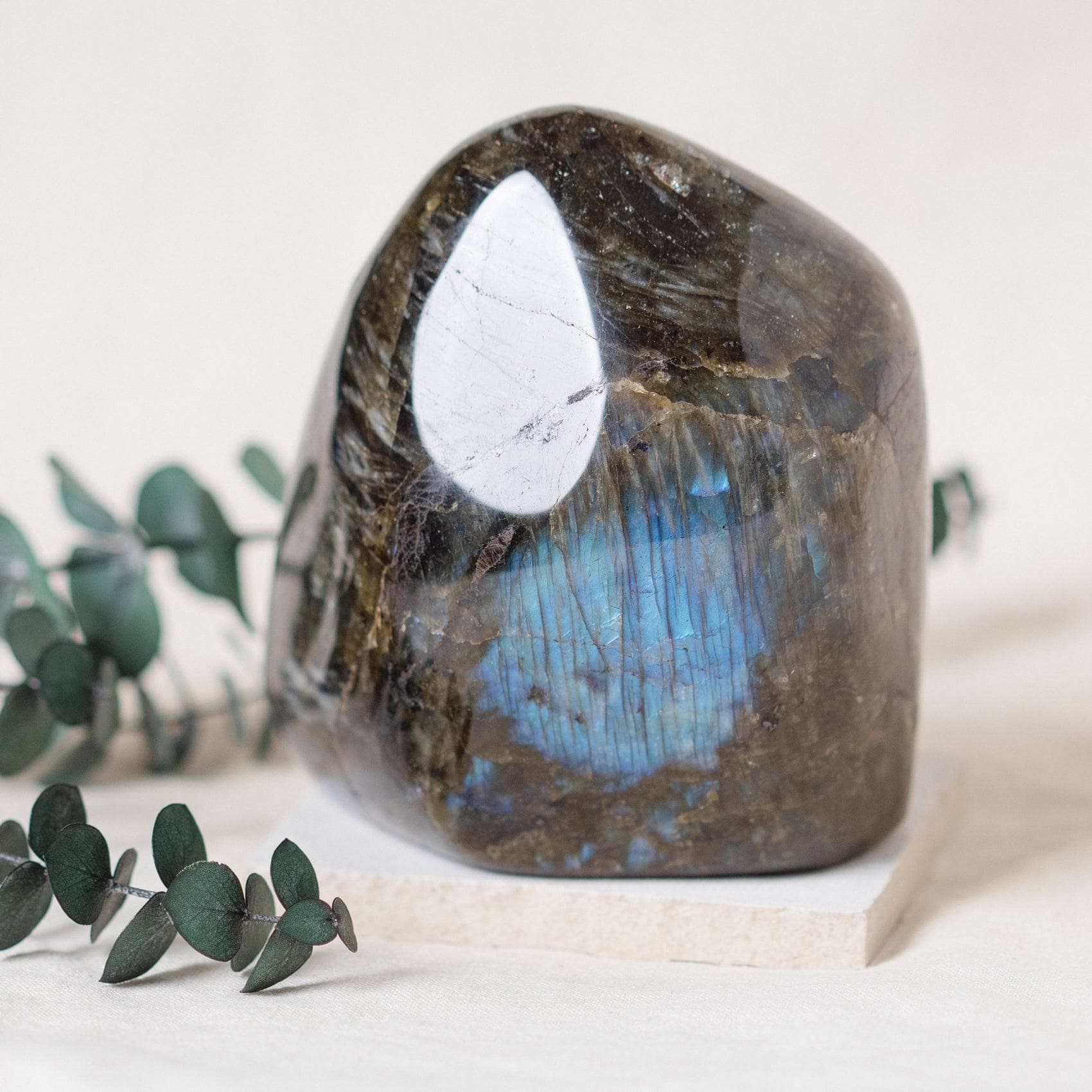 TR-FF10-LAB-MI-2 Labradorite Blue Flame Freeform - AAA Premium Quality - Image 29