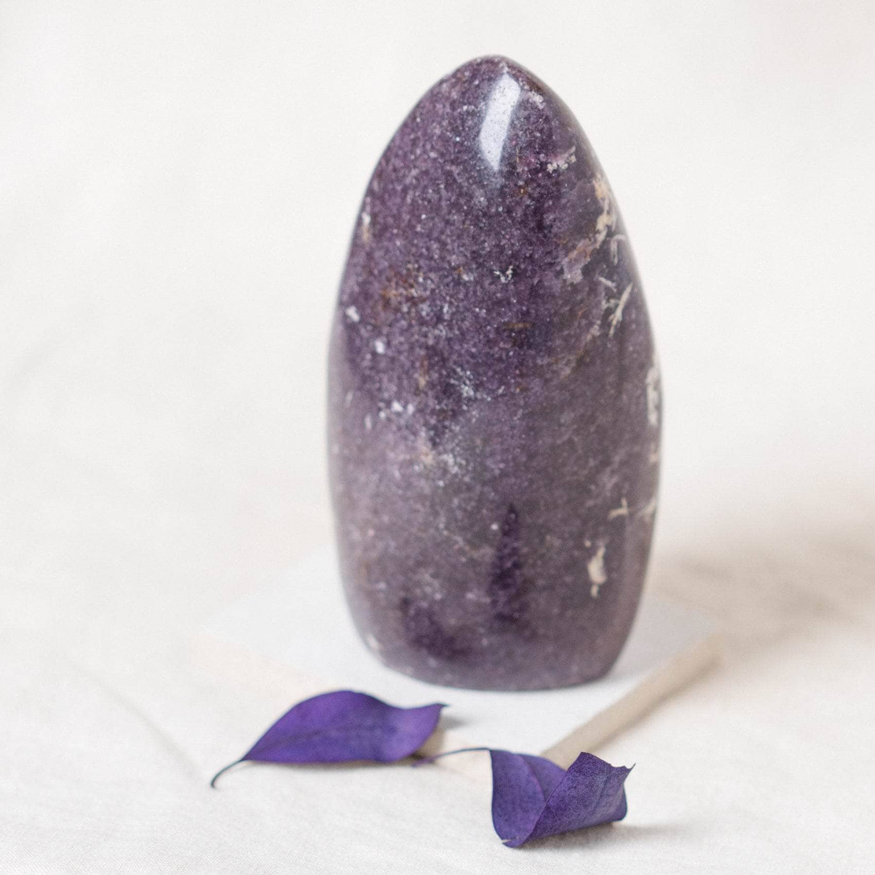 TR-FF2-LEP-MI-2 Lepidolite Freeform - AAA Premium Quality - Image 5