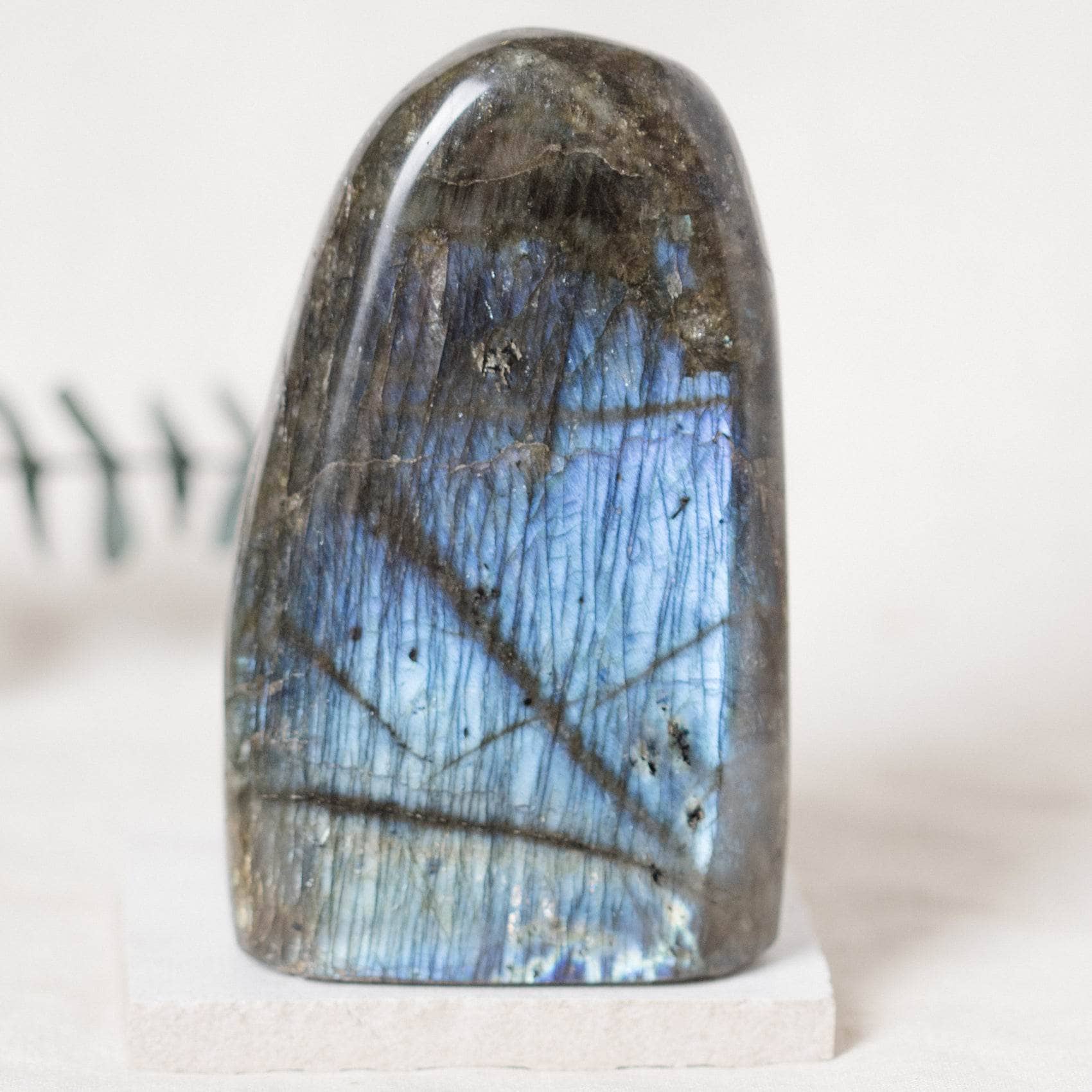TR-FF3-LAB-MI-3 Labradorite Blue Flame Freeform - AAA Premium Quality - Image 9