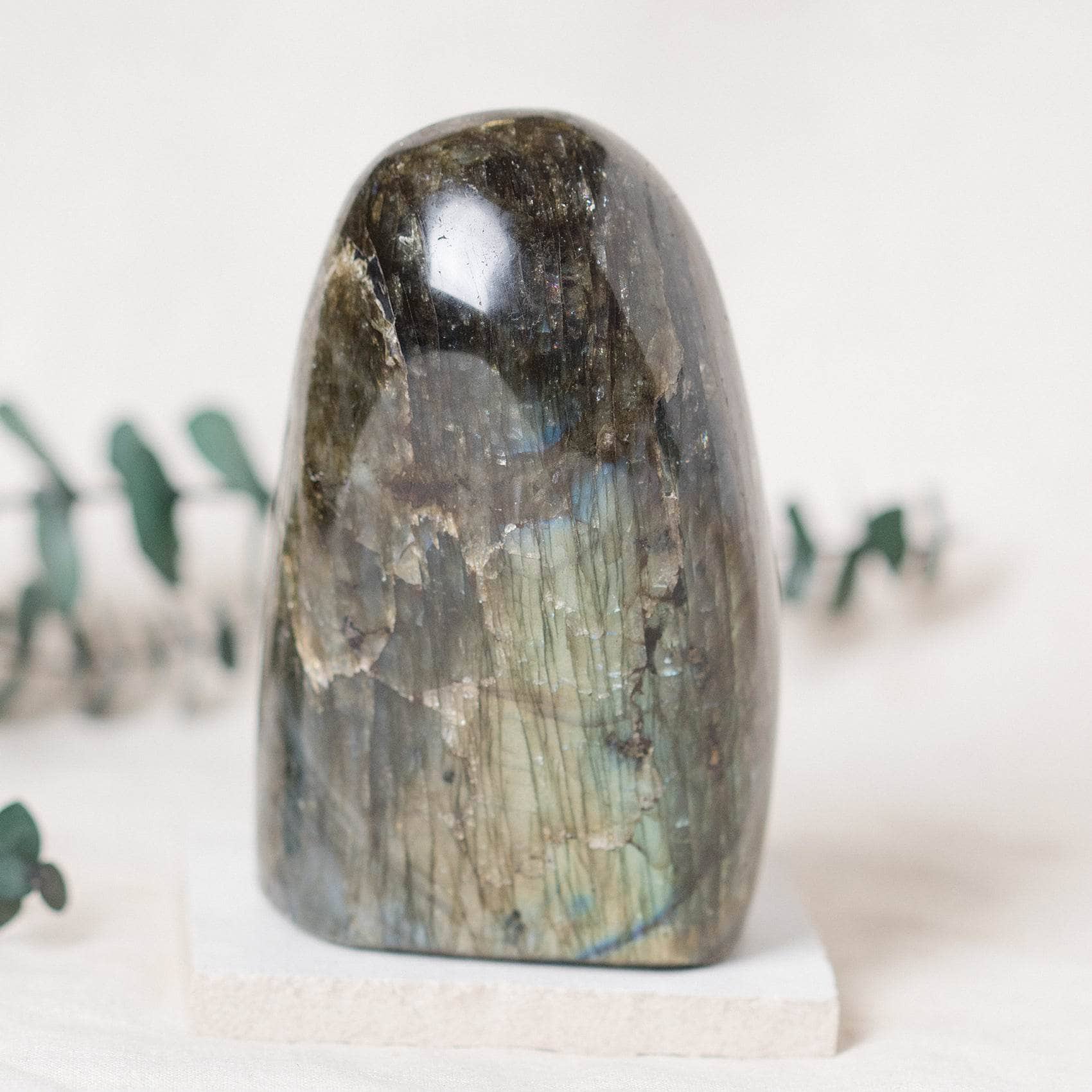 TR-FF3-LAB-MI-4 Labradorite Blue Flame Freeform - AAA Premium Quality - Image 11