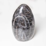Black Moonstone Freeform - AAA Premium Quality - Image 14