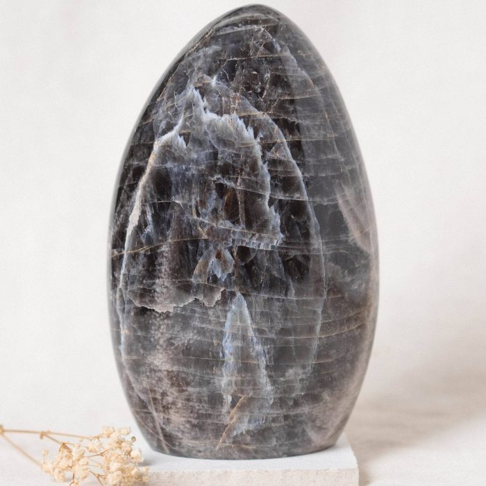 Black Moonstone Freeform - AAA Premium Quality - Image 12