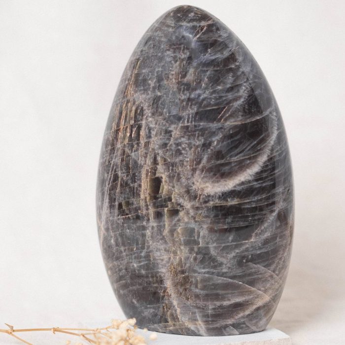 Black Moonstone Freeform - AAA Premium Quality - Image 13