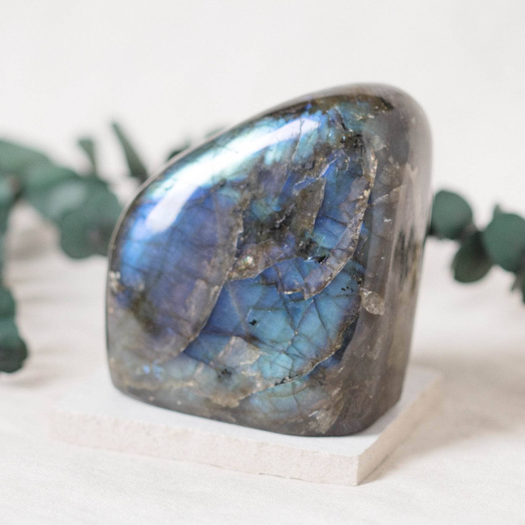 TR-FF4-LAB-MI-1 Labradorite Blue Flame Freeform - AAA Premium Quality - Image 13