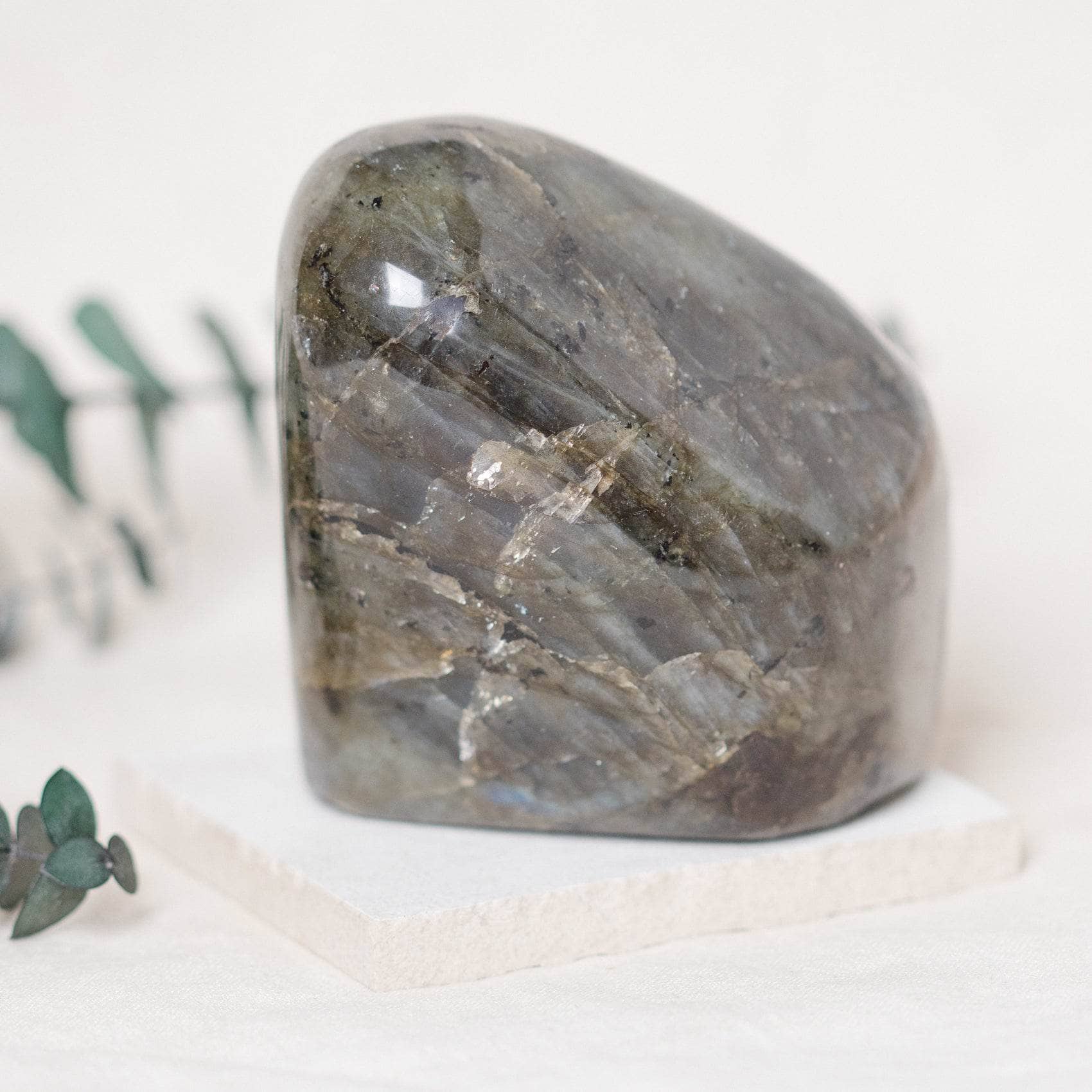 TR-FF4-LAB-MI-4 Labradorite Blue Flame Freeform - AAA Premium Quality - Image 15