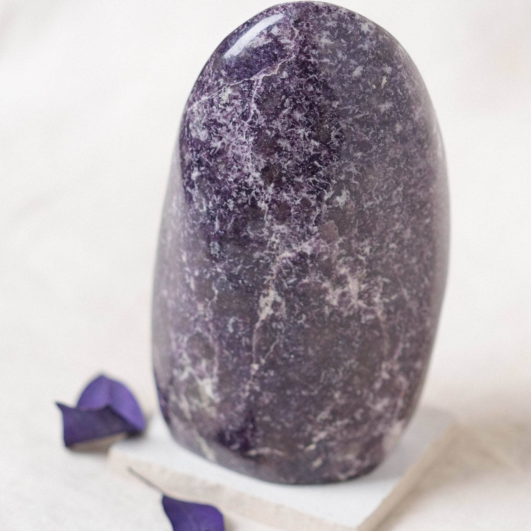 TR-FF5-LEP-MI-5 Lepidolite Freeform - AAA Premium Quality - Image 16
