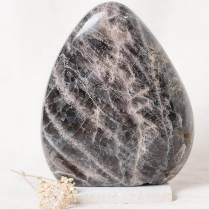 Black Moonstone Freeform - AAA Premium Quality - Image 20