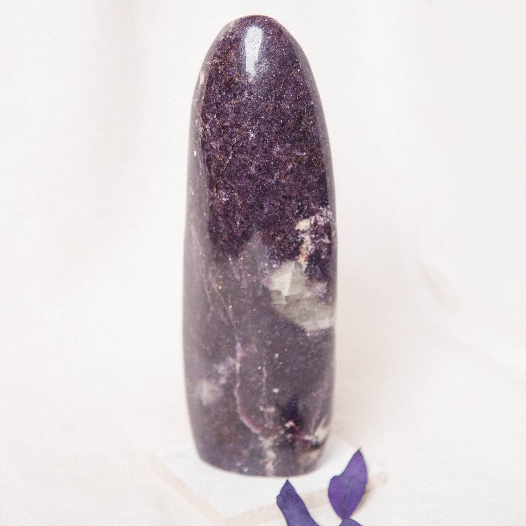 TR-FF6-LEP-MI-7_6f95704c-c804-4a1d-a737-46411a96c97e Lepidolite Freeform - AAA Premium Quality - Image 22