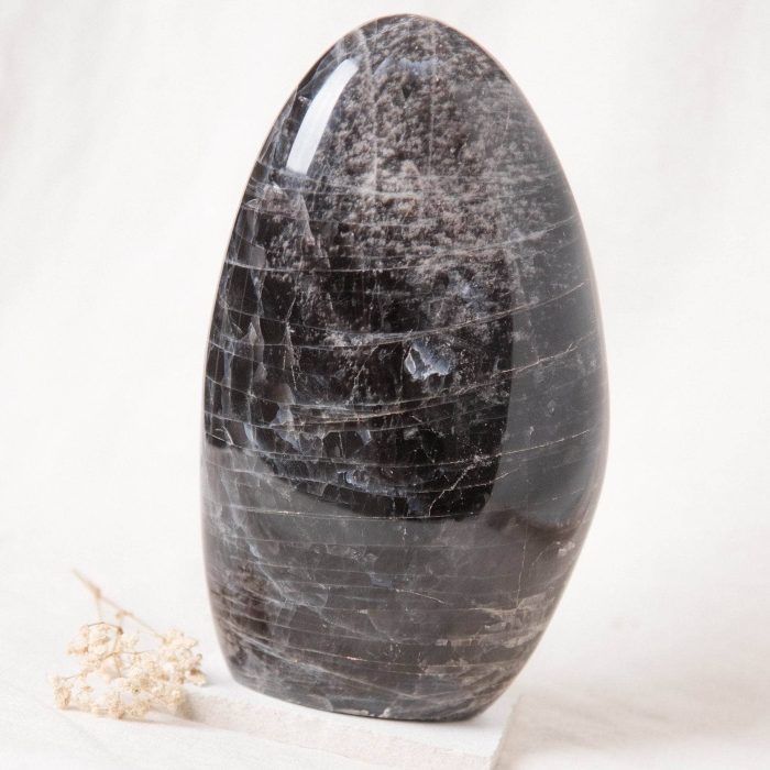 Black Moonstone Freeform - AAA Premium Quality - Image 25