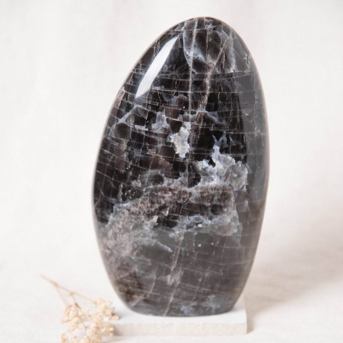 Black Moonstone Freeform - AAA Premium Quality - Image 24