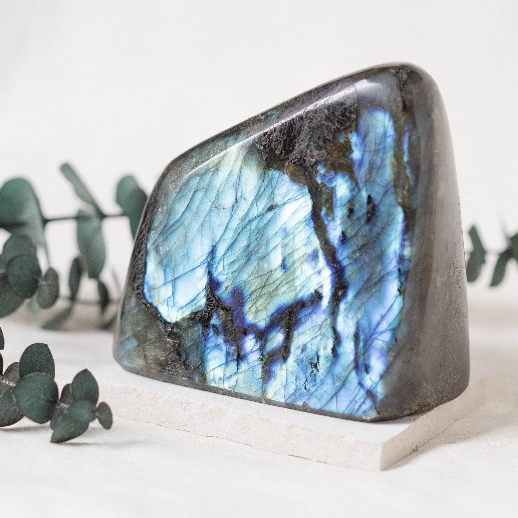 TR-FF8-LAB-MI-1 Labradorite Blue Flame Freeform - AAA Premium Quality - Image 24