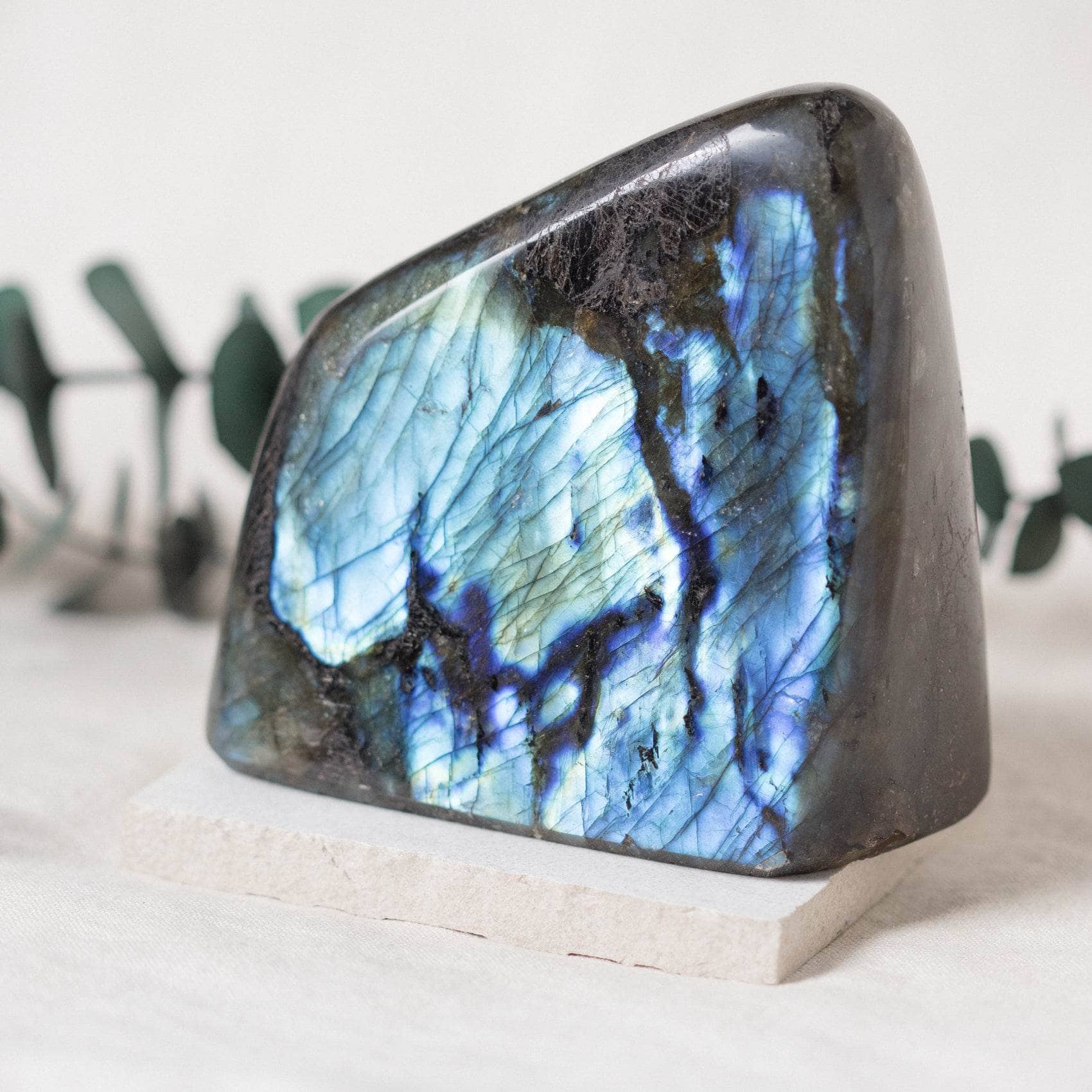TR-FF8-LAB-MI-4 Labradorite Blue Flame Freeform - AAA Premium Quality - Image 25