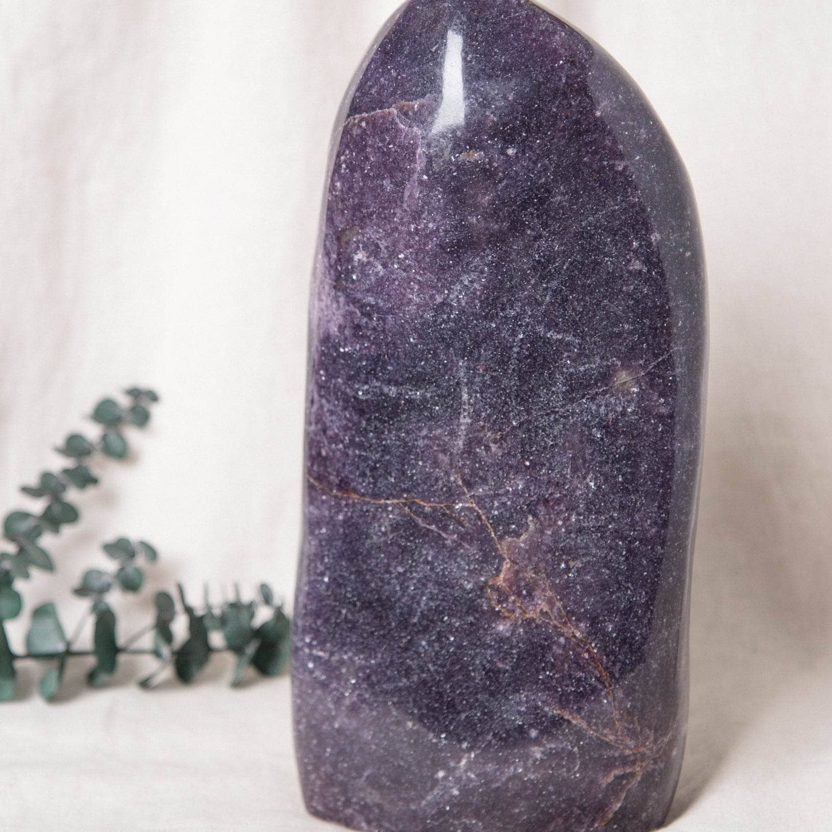 TR-FF8-LEP-MI-2 Lepidolite Freeform - AAA Premium Quality - Image 26