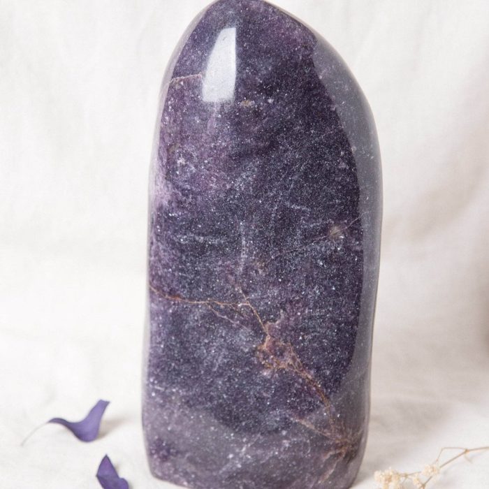 Lepidolite Freeform - AAA Premium Quality - Image 27