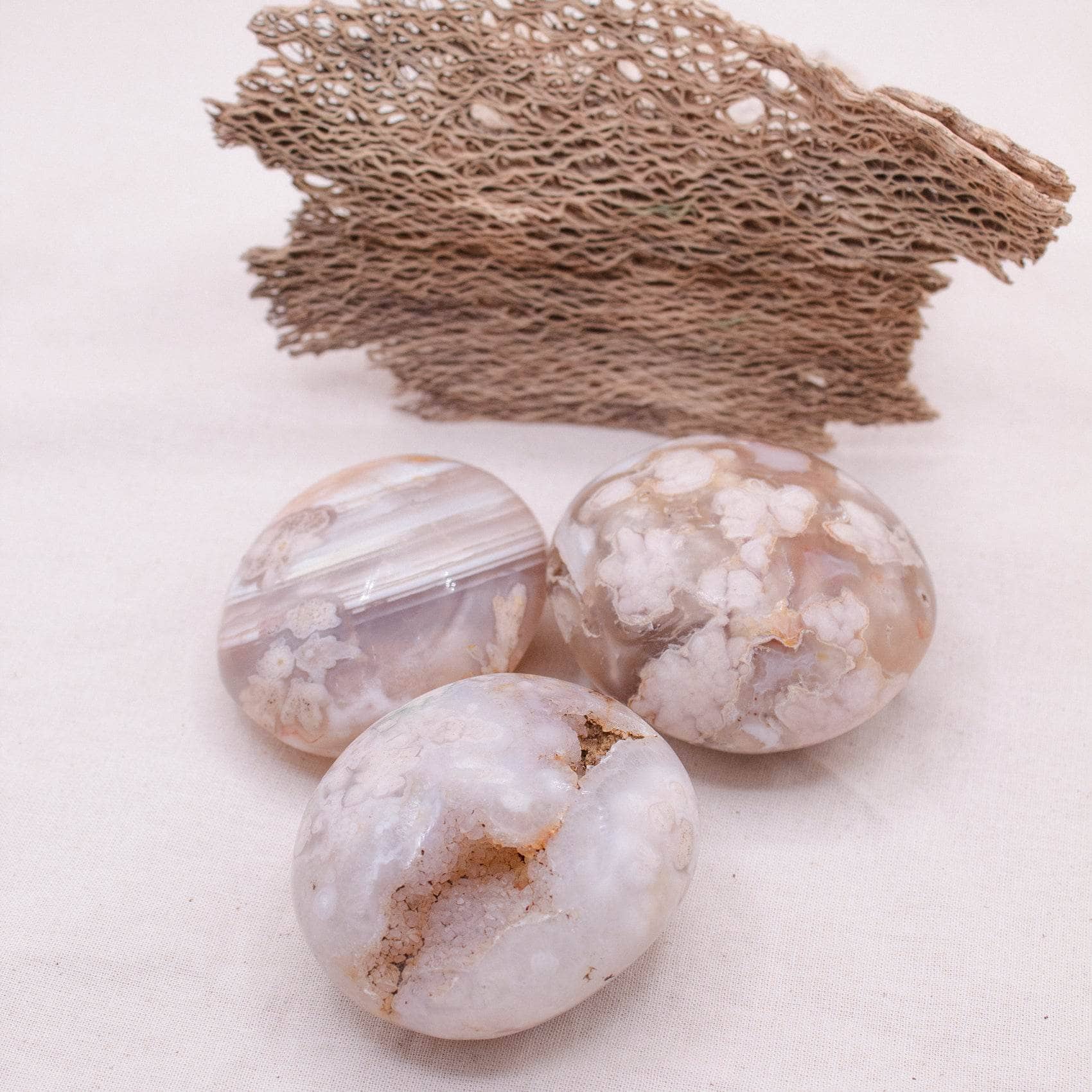 TR-PS-FA-MI-L-4 Natural Flower Agate Palm Stones - AAA Premium Quality - Image 9