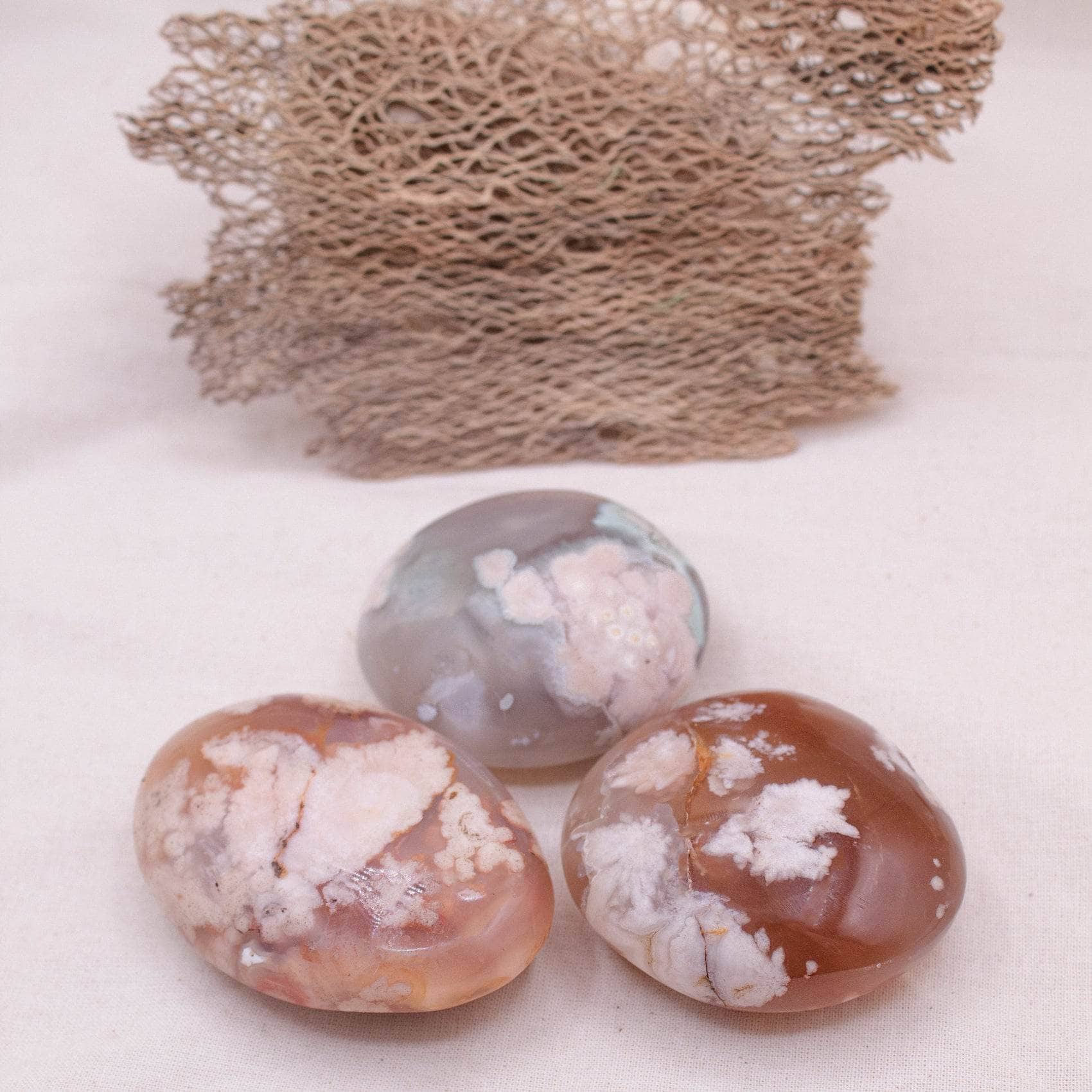 TR-PS-FA-MI-M-1 Natural Flower Agate Palm Stones - AAA Premium Quality - Image 5