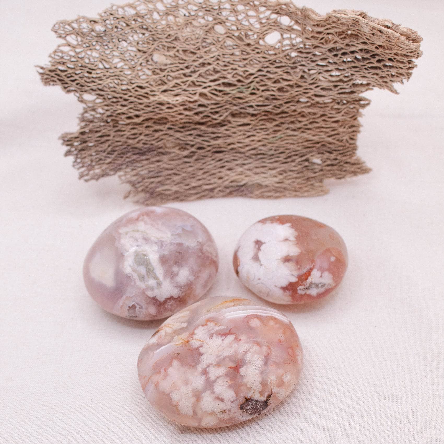 TR-PS-FA-MI-S-2 Natural Flower Agate Palm Stones - AAA Premium Quality - Image 1
