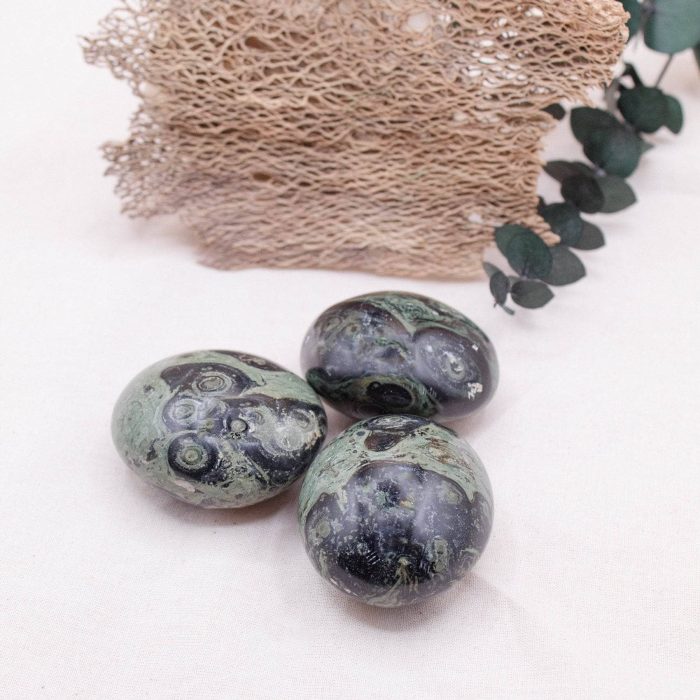 Kambaba Jasper Palm Stones - AAA Premium Quality - Image 5