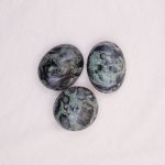 Kambaba Jasper Palm Stones - AAA Premium Quality - Image 3