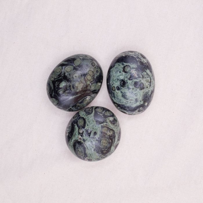 Kambaba Jasper Palm Stones - AAA Premium Quality - Image 3