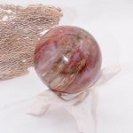 Petrified Wood Sphere - AAA Premium Quality - Image 3