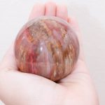 Petrified Wood Sphere - AAA Premium Quality - Image 2