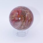 Petrified Wood Sphere - AAA Premium Quality - Image 4