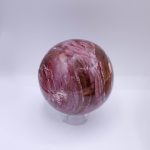 Petrified Wood Sphere - AAA Premium Quality - Image 45