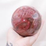 Petrified Wood Sphere - AAA Premium Quality - Image 44