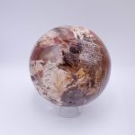 Petrified Wood Sphere - AAA Premium Quality - Image 49