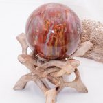 Petrified Wood Sphere - AAA Premium Quality - Image 50