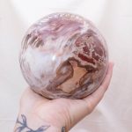 Petrified Wood Sphere - AAA Premium Quality - Image 54