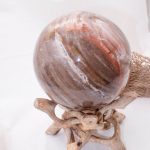 Petrified Wood Sphere - AAA Premium Quality - Image 57